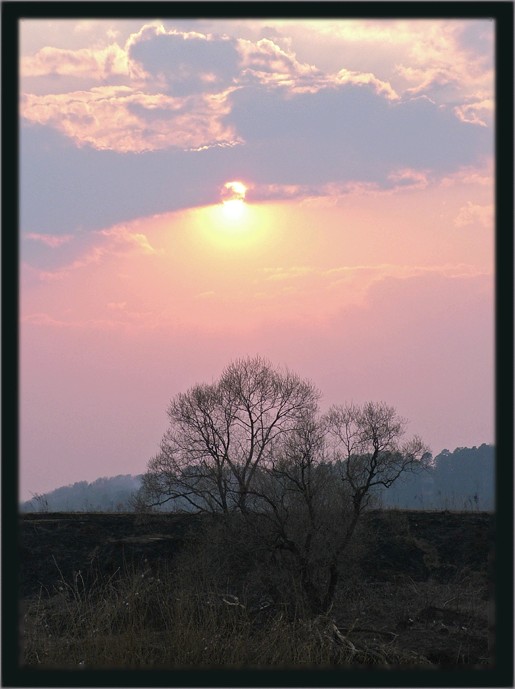 photo "Evening" tags: landscape, nature, sunset