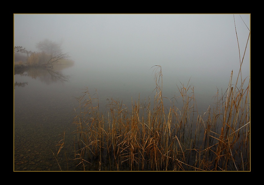 фото "Mystery" метки: пейзаж, вода, зима