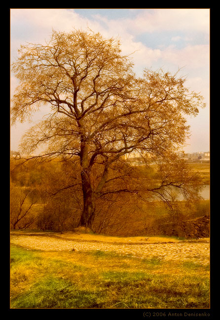 photo "***" tags: landscape, spring