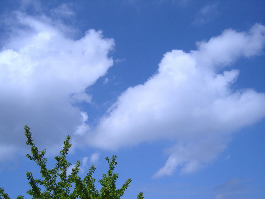 photo "Reach for the Sky" tags: landscape, clouds