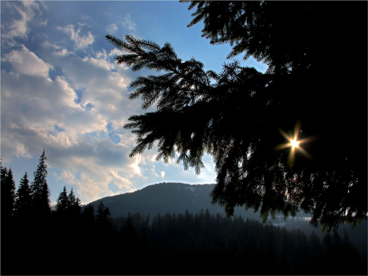 photo "* * *" tags: landscape, mountains, spring