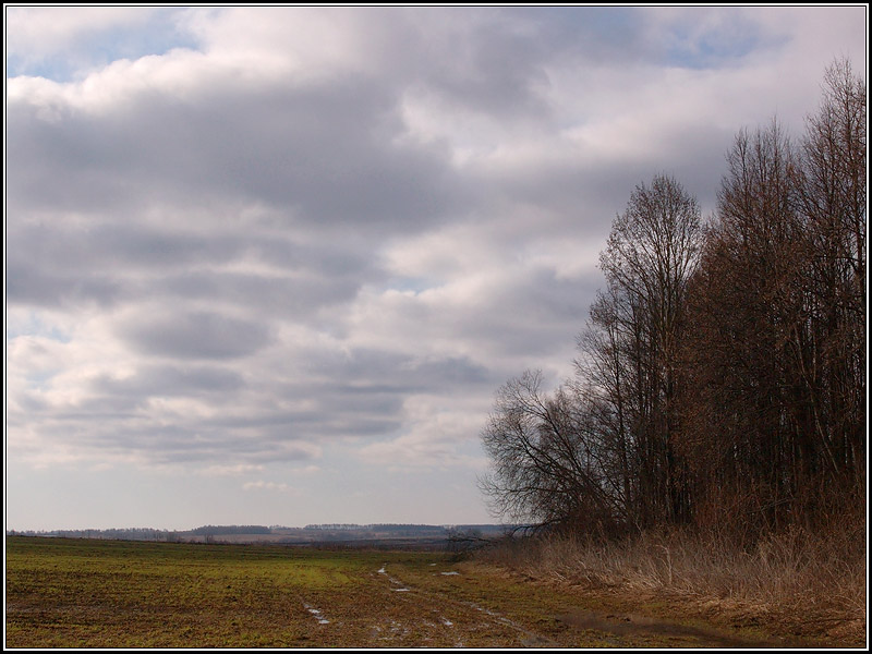 фото "Родные просторы..." метки: пейзаж, весна