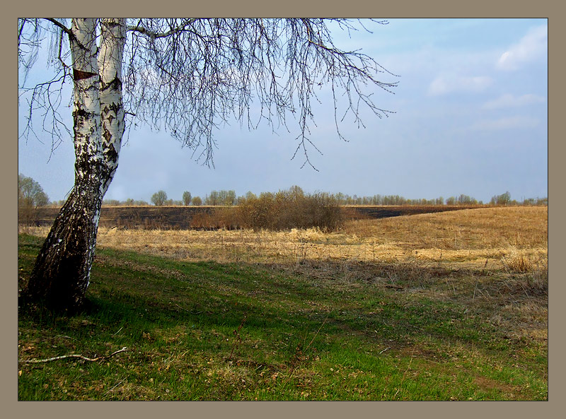 photo "***" tags: landscape, spring