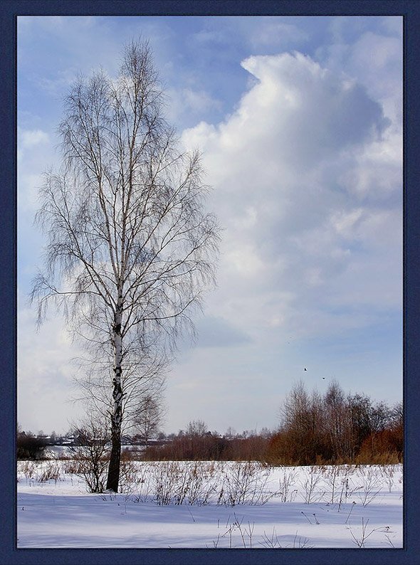 фото "Про Весну :)" метки: пейзаж, весна