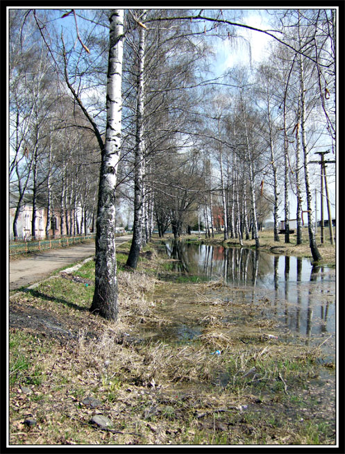 фото "Большая весенняя лужа" метки: пейзаж, весна, вода