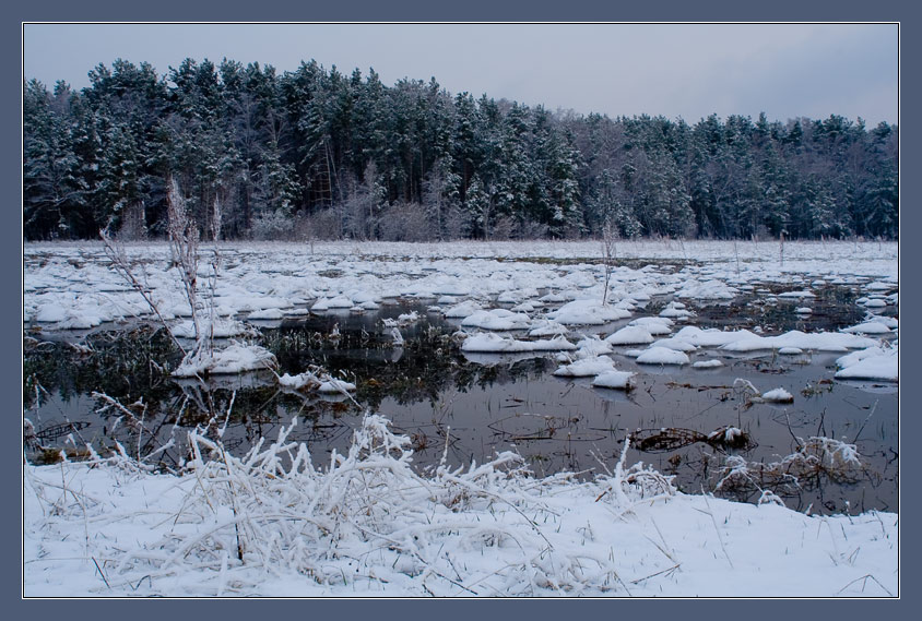 photo "***" tags: landscape, forest, water