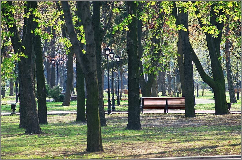 фото "Весенний парк" метки: пейзаж, весна