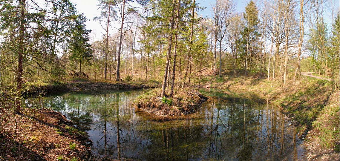 фото "У лесного озера весной" метки: пейзаж, вода, лес