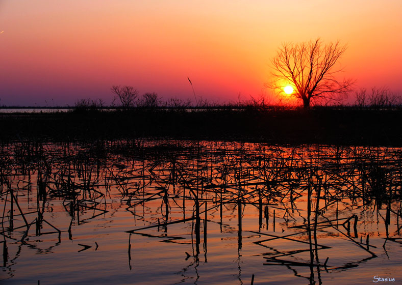 photo "***" tags: landscape, sunset