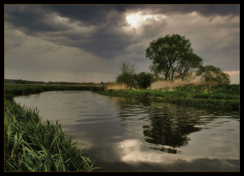 photo "Live river" tags: landscape, spring