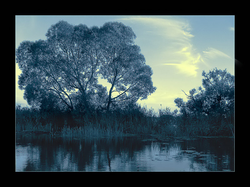 photo "***" tags: montage, landscape, clouds