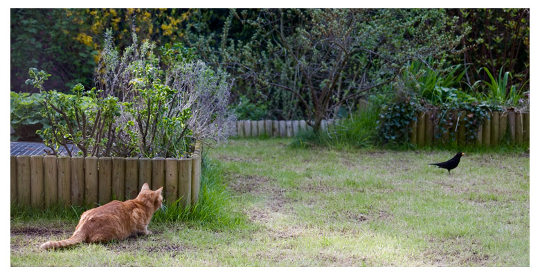 photo "Predator and Prey" tags: nature, wild animals