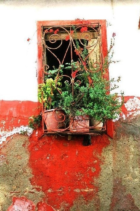 фото "Windows Turkey" метки: абстракция, 