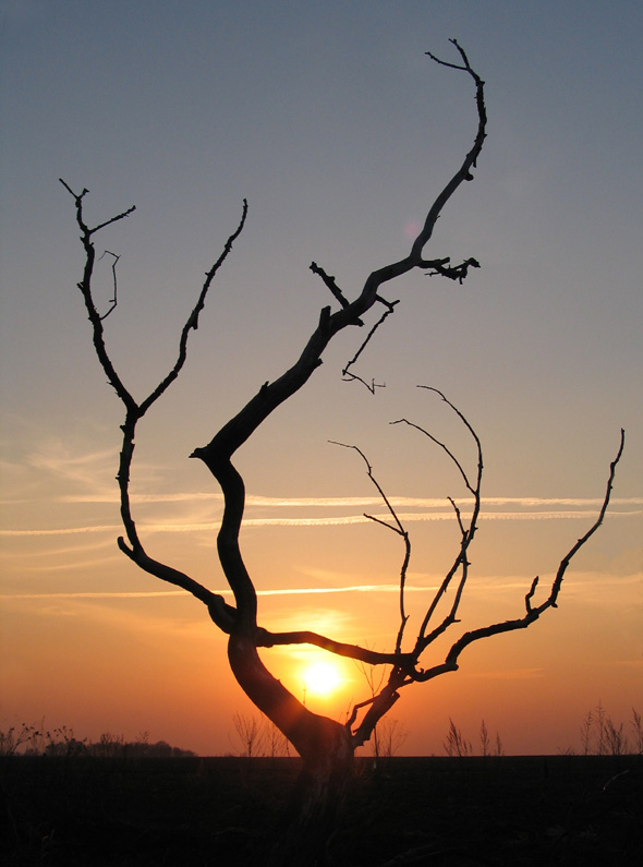 photo "***" tags: landscape, sunset