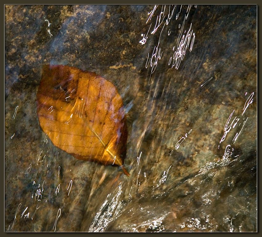 photo "Liquid Crystal (2)" tags: nature, 