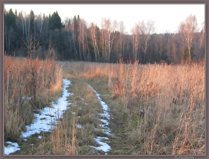 photo "The road to winter." tags: landscape, autumn