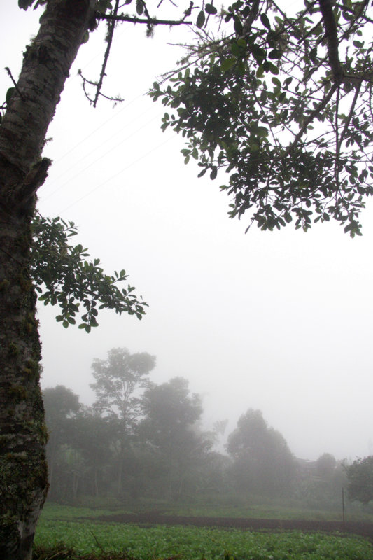 photo "Foggy evening" tags: landscape, clouds