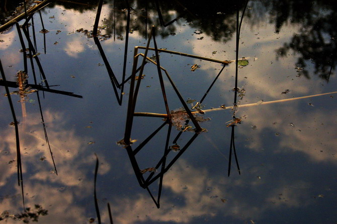 photo "geometry" tags: landscape, nature, spring