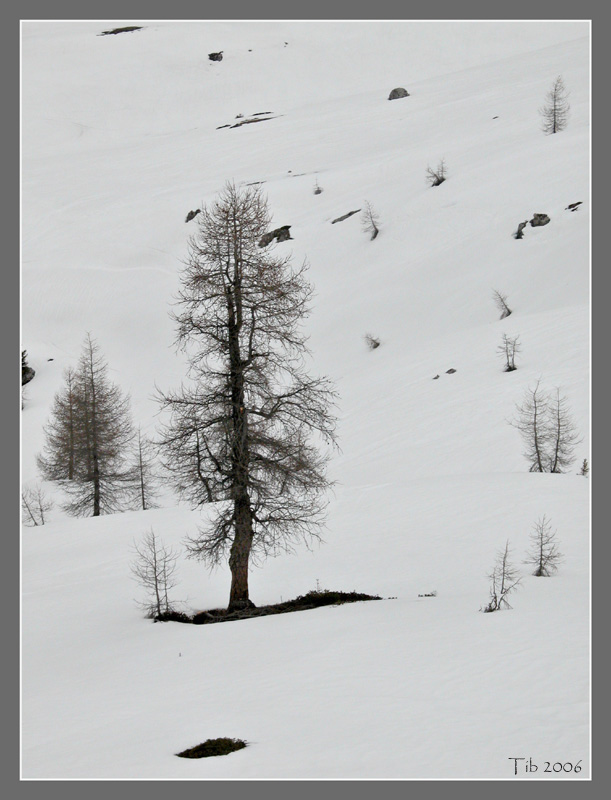 photo "the winter is gone..." tags: landscape, travel, Europe, winter