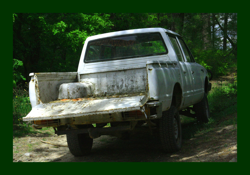 photo "Pick UP" tags: landscape, nature, forest