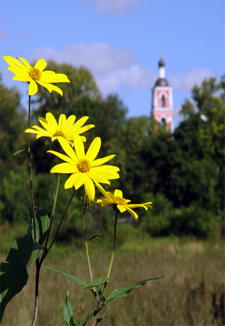 photo "***" tags: landscape, 