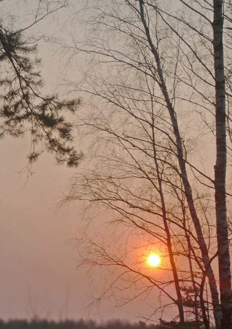 photo "Evening lines" tags: landscape, sunset