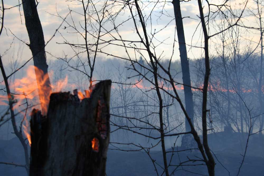 photo "Fire games" tags: landscape, spring