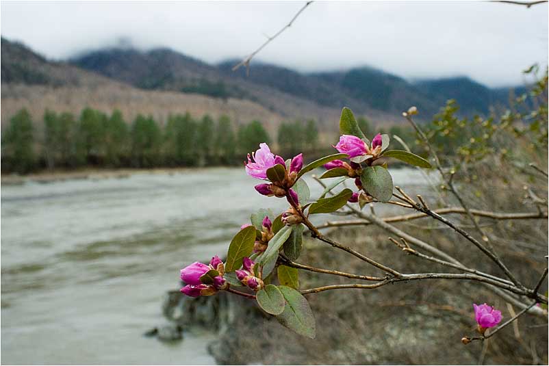 photo "***" tags: landscape, mountains