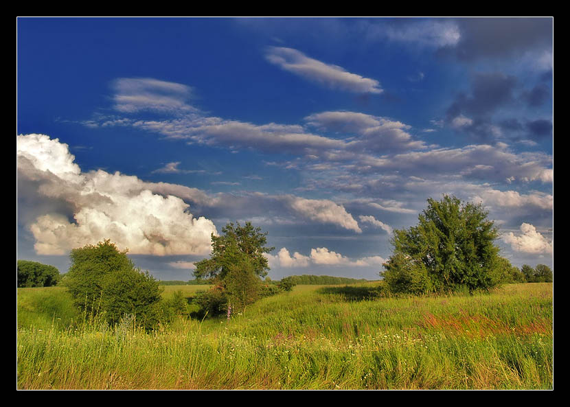 photo "End of summer" tags: landscape, summer