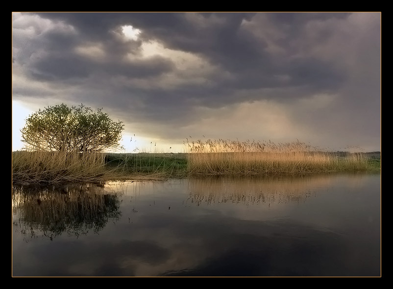 photo "Before the rain" tags: landscape, summer