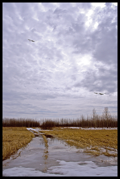 photo "***" tags: landscape, spring