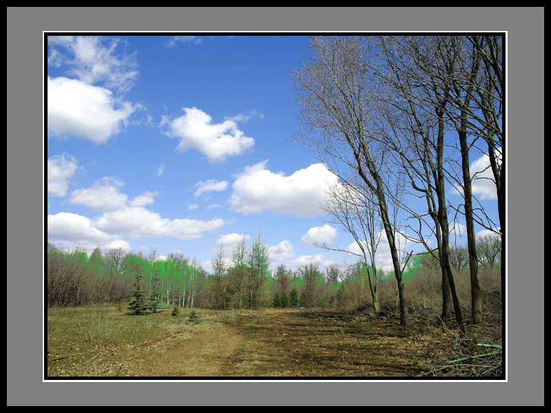 photo "***" tags: landscape, spring