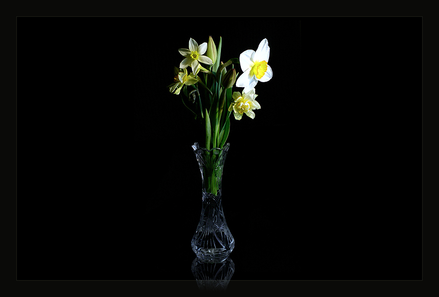 photo "Flowers in the vase" tags: still life, nature, flowers