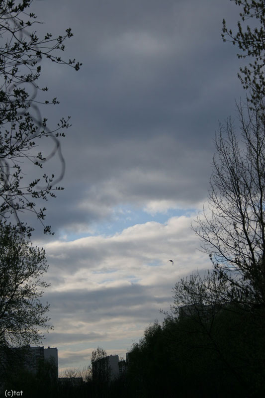 photo "***" tags: landscape, clouds