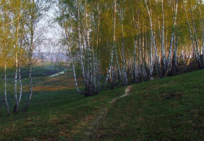 фото "Холодное весеннее утро" метки: пейзаж, весна