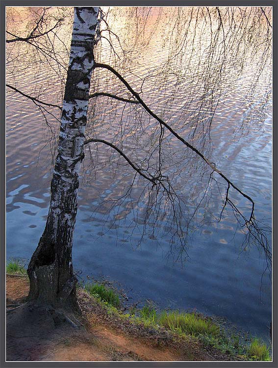 photo "***" tags: landscape, sunset, water