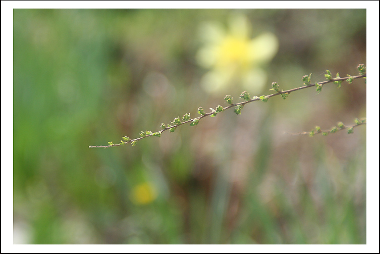 photo "Good morning, Planet # 3" tags: genre, nature, 