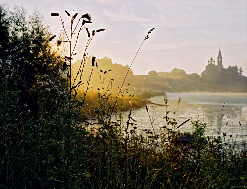 photo "Cobwebby dawn" tags: landscape, sunset