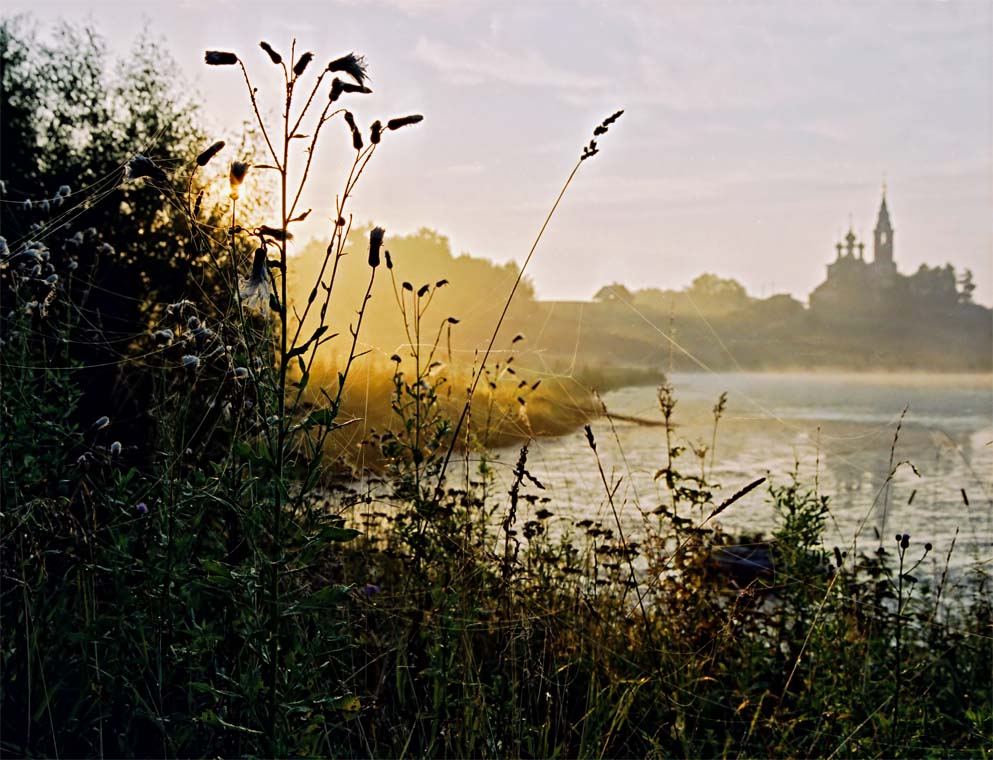 photo "Cobwebby dawn" tags: landscape, sunset