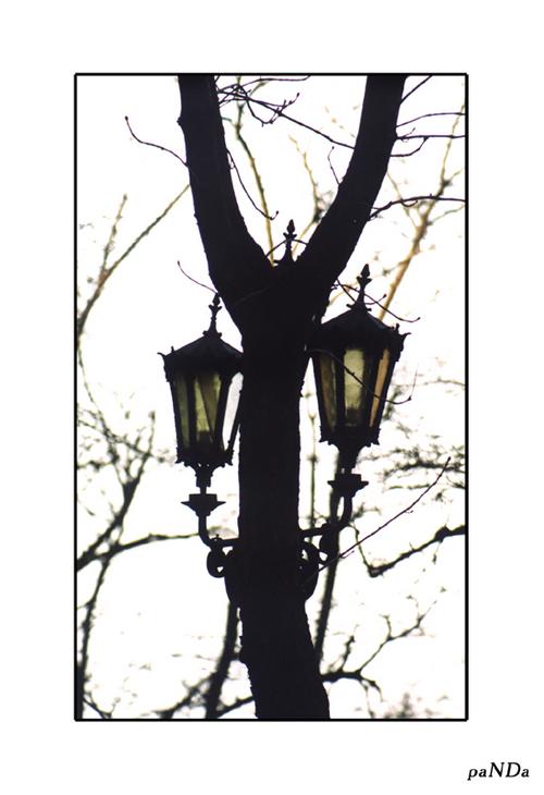 фото "Одесский канделябр..The Odessa candelabrum" метки: , 