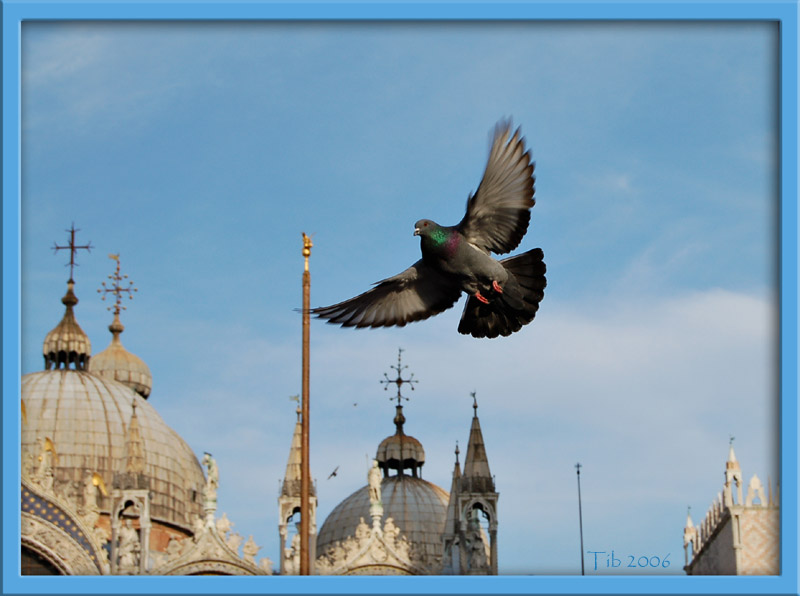 photo "Freedom" tags: travel, still life, Europe