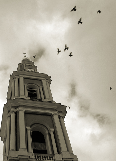 фото "колокольня богоявленского собора" метки: архитектура, черно-белые, пейзаж, 