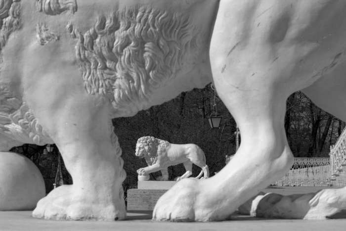 photo "lions" tags: architecture, black&white, landscape, 
