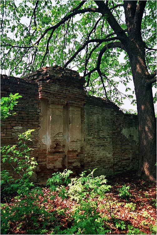 photo "The wall(ancient garden)" tags: landscape, architecture, forest