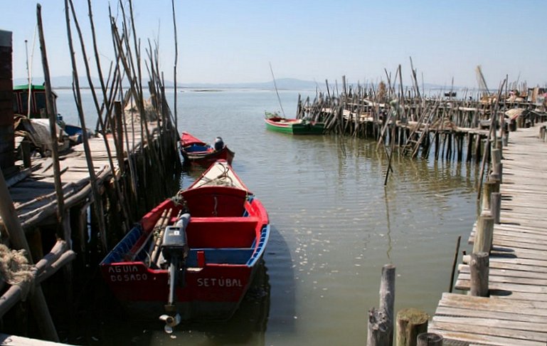 photo "Carrasqueira-Palafitte Fishing Harbour" tags: landscape, 