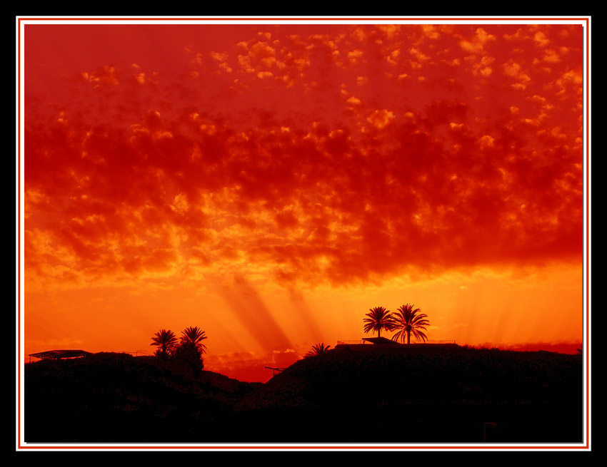 photo "Red" tags: landscape, spring, sunset