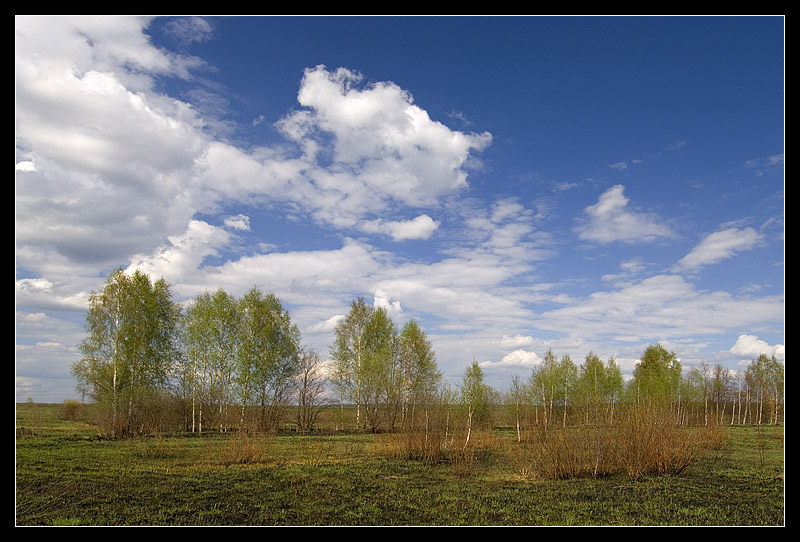 фото "Весна" метки: , 