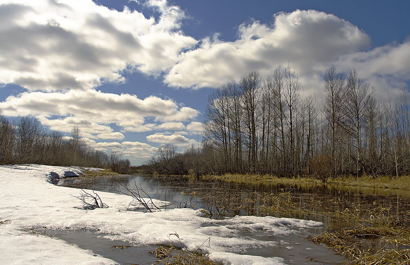 photo "***" tags: landscape, spring