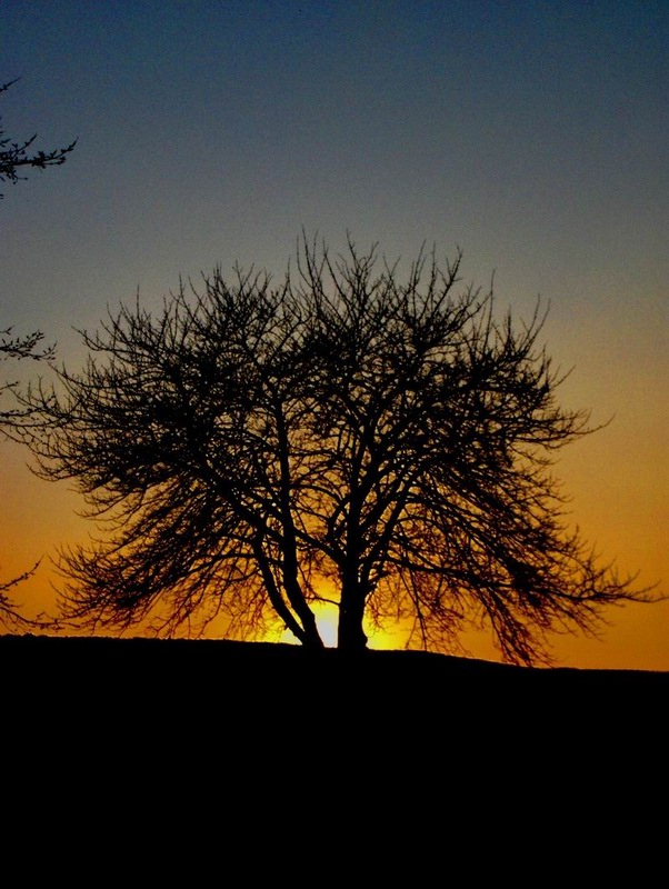 фото "Outback in Italy" метки: пейзаж, горы