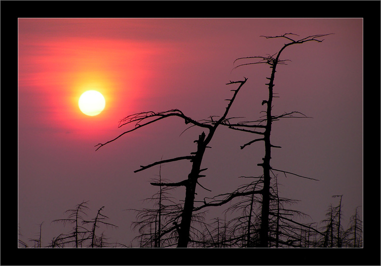 photo "Вечер, Чайво 13 мая 2006 г." tags: landscape, autumn, sunset